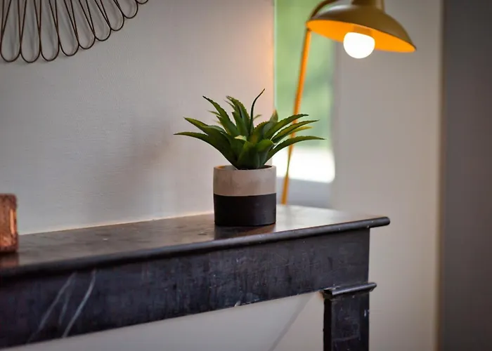 Le Reve Dore Proche De La Gare ! Apartment *